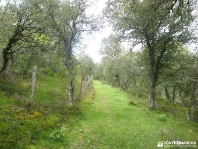 Parque Natural de Nansa y el Alto Besaya;senderos de la rioja montfalco ermita de san frutos blog ca